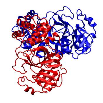 Structure preview of Folding@home molecular dynamics simulations of Diamond Light Source / XChem X-ray structures of small molecule inhibitors of the SARS-CoV-2 main protease from the COVID Moonshot; project 13437, run 52