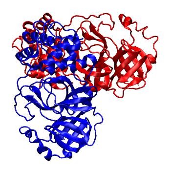 Structure preview of Folding@home molecular dynamics simulations of Diamond Light Source / XChem X-ray structures of small molecule inhibitors of the SARS-CoV-2 main protease from the COVID Moonshot; project 13437, run 53