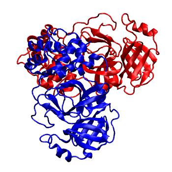 Structure preview of Folding@home molecular dynamics simulations of Diamond Light Source / XChem X-ray structures of small molecule inhibitors of the SARS-CoV-2 main protease from the COVID Moonshot; project 13437, run 54