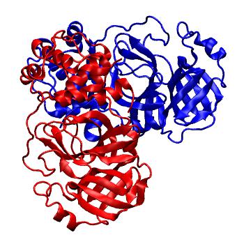 Structure preview of Folding@home molecular dynamics simulations of Diamond Light Source / XChem X-ray structures of small molecule inhibitors of the SARS-CoV-2 main protease from the COVID Moonshot; project 13437, run 55