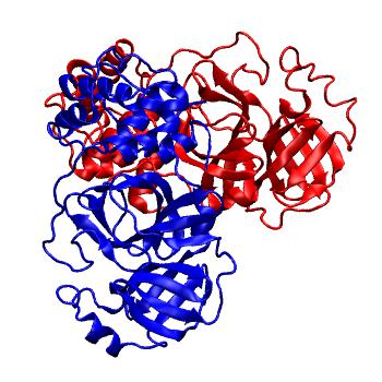 Structure preview of Folding@home molecular dynamics simulations of Diamond Light Source / XChem X-ray structures of small molecule inhibitors of the SARS-CoV-2 main protease from the COVID Moonshot; project 13437, run 56