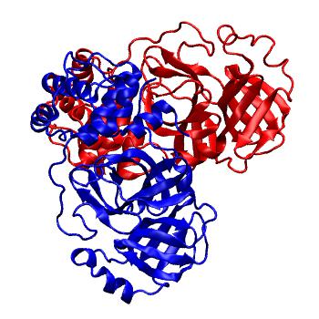 Structure preview of Folding@home molecular dynamics simulations of Diamond Light Source / XChem X-ray structures of small molecule inhibitors of the SARS-CoV-2 main protease from the COVID Moonshot; project 13437, run 57