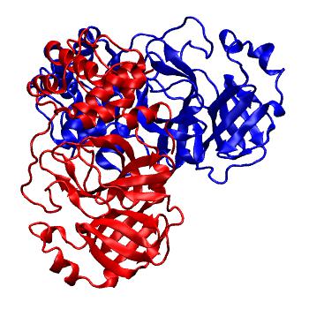 Structure preview of Folding@home molecular dynamics simulations of Diamond Light Source / XChem X-ray structures of small molecule inhibitors of the SARS-CoV-2 main protease from the COVID Moonshot; project 13437, run 58
