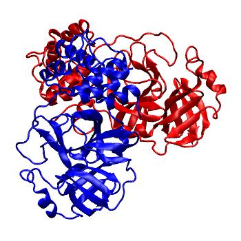 Structure preview of Folding@home molecular dynamics simulations of Diamond Light Source / XChem X-ray structures of small molecule inhibitors of the SARS-CoV-2 main protease from the COVID Moonshot; project 13437, run 59