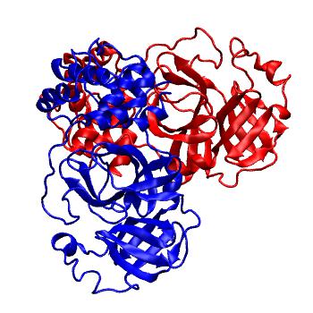 Structure preview of Folding@home molecular dynamics simulations of Diamond Light Source / XChem X-ray structures of small molecule inhibitors of the SARS-CoV-2 main protease from the COVID Moonshot; project 13437, run 5
