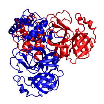 Structure preview of Folding@home molecular dynamics simulations of Diamond Light Source / XChem X-ray structures of small molecule inhibitors of the SARS-CoV-2 main protease from the COVID Moonshot; project 13437, run 60