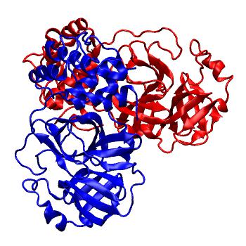 Structure preview of Folding@home molecular dynamics simulations of Diamond Light Source / XChem X-ray structures of small molecule inhibitors of the SARS-CoV-2 main protease from the COVID Moonshot; project 13437, run 62