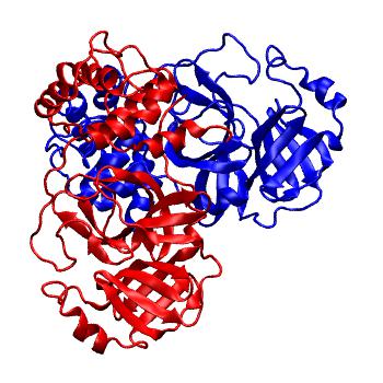 Structure preview of Folding@home molecular dynamics simulations of Diamond Light Source / XChem X-ray structures of small molecule inhibitors of the SARS-CoV-2 main protease from the COVID Moonshot; project 13437, run 63