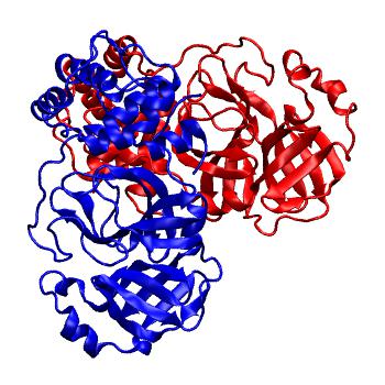 Structure preview of Folding@home molecular dynamics simulations of Diamond Light Source / XChem X-ray structures of small molecule inhibitors of the SARS-CoV-2 main protease from the COVID Moonshot; project 13437, run 64