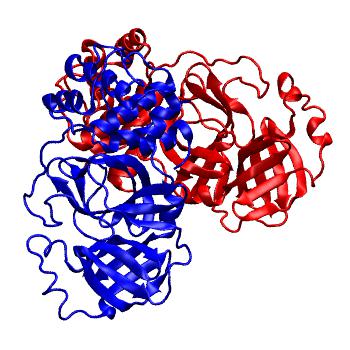 Structure preview of Folding@home molecular dynamics simulations of Diamond Light Source / XChem X-ray structures of small molecule inhibitors of the SARS-CoV-2 main protease from the COVID Moonshot; project 13437, run 65