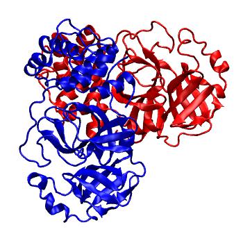 Structure preview of Folding@home molecular dynamics simulations of Diamond Light Source / XChem X-ray structures of small molecule inhibitors of the SARS-CoV-2 main protease from the COVID Moonshot; project 13437, run 67