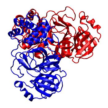Structure preview of Folding@home molecular dynamics simulations of Diamond Light Source / XChem X-ray structures of small molecule inhibitors of the SARS-CoV-2 main protease from the COVID Moonshot; project 13437, run 68