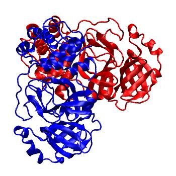 Structure preview of Folding@home molecular dynamics simulations of Diamond Light Source / XChem X-ray structures of small molecule inhibitors of the SARS-CoV-2 main protease from the COVID Moonshot; project 13437, run 69