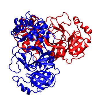 Structure preview of Folding@home molecular dynamics simulations of Diamond Light Source / XChem X-ray structures of small molecule inhibitors of the SARS-CoV-2 main protease from the COVID Moonshot; project 13437, run 6