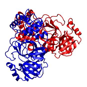 Structure preview of Folding@home molecular dynamics simulations of Diamond Light Source / XChem X-ray structures of small molecule inhibitors of the SARS-CoV-2 main protease from the COVID Moonshot; project 13437, run 70