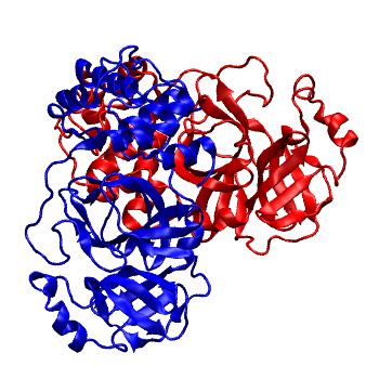 Structure preview of Folding@home molecular dynamics simulations of Diamond Light Source / XChem X-ray structures of small molecule inhibitors of the SARS-CoV-2 main protease from the COVID Moonshot; project 13437, run 71