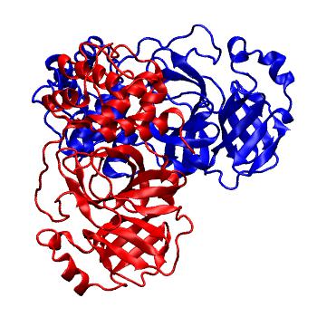 Structure preview of Folding@home molecular dynamics simulations of Diamond Light Source / XChem X-ray structures of small molecule inhibitors of the SARS-CoV-2 main protease from the COVID Moonshot; project 13437, run 72