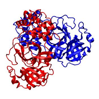 Structure preview of Folding@home molecular dynamics simulations of Diamond Light Source / XChem X-ray structures of small molecule inhibitors of the SARS-CoV-2 main protease from the COVID Moonshot; project 13437, run 73