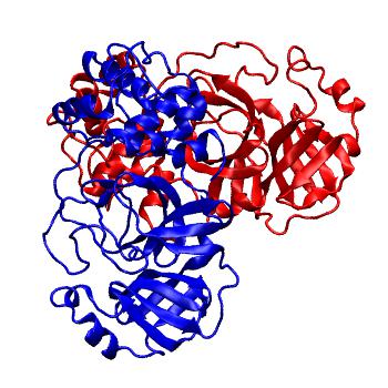 Structure preview of Folding@home molecular dynamics simulations of Diamond Light Source / XChem X-ray structures of small molecule inhibitors of the SARS-CoV-2 main protease from the COVID Moonshot; project 13437, run 74