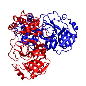 Structure preview of Folding@home molecular dynamics simulations of Diamond Light Source / XChem X-ray structures of small molecule inhibitors of the SARS-CoV-2 main protease from the COVID Moonshot; project 13437, run 75