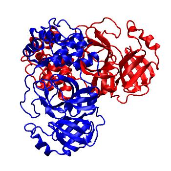 Structure preview of Folding@home molecular dynamics simulations of Diamond Light Source / XChem X-ray structures of small molecule inhibitors of the SARS-CoV-2 main protease from the COVID Moonshot; project 13437, run 76