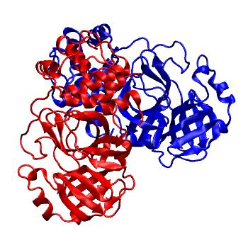 Structure preview of Folding@home molecular dynamics simulations of Diamond Light Source / XChem X-ray structures of small molecule inhibitors of the SARS-CoV-2 main protease from the COVID Moonshot; project 13437, run 77