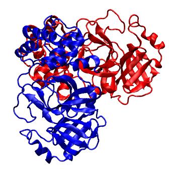 Structure preview of Folding@home molecular dynamics simulations of Diamond Light Source / XChem X-ray structures of small molecule inhibitors of the SARS-CoV-2 main protease from the COVID Moonshot; project 13437, run 78