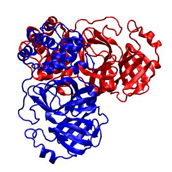 Structure preview of Folding@home molecular dynamics simulations of Diamond Light Source / XChem X-ray structures of small molecule inhibitors of the SARS-CoV-2 main protease from the COVID Moonshot; project 13437, run 79