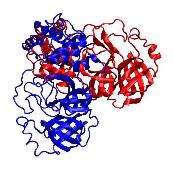 Structure preview of Folding@home molecular dynamics simulations of Diamond Light Source / XChem X-ray structures of small molecule inhibitors of the SARS-CoV-2 main protease from the COVID Moonshot; project 13437, run 7