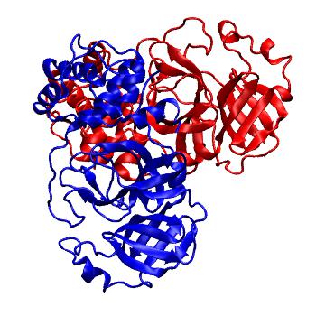 Structure preview of Folding@home molecular dynamics simulations of Diamond Light Source / XChem X-ray structures of small molecule inhibitors of the SARS-CoV-2 main protease from the COVID Moonshot; project 13437, run 80