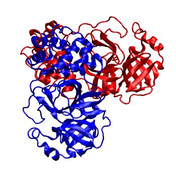 Structure preview of Folding@home molecular dynamics simulations of Diamond Light Source / XChem X-ray structures of small molecule inhibitors of the SARS-CoV-2 main protease from the COVID Moonshot; project 13437, run 81
