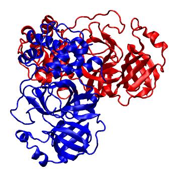 Structure preview of Folding@home molecular dynamics simulations of Diamond Light Source / XChem X-ray structures of small molecule inhibitors of the SARS-CoV-2 main protease from the COVID Moonshot; project 13437, run 82