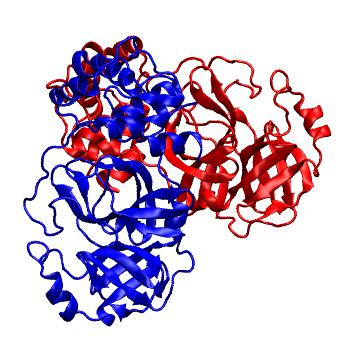 Structure preview of Folding@home molecular dynamics simulations of Diamond Light Source / XChem X-ray structures of small molecule inhibitors of the SARS-CoV-2 main protease from the COVID Moonshot; project 13437, run 83