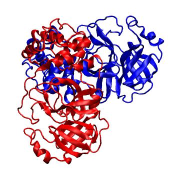 Structure preview of Folding@home molecular dynamics simulations of Diamond Light Source / XChem X-ray structures of small molecule inhibitors of the SARS-CoV-2 main protease from the COVID Moonshot; project 13437, run 85