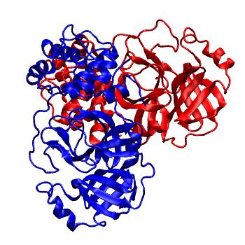 Structure preview of Folding@home molecular dynamics simulations of Diamond Light Source / XChem X-ray structures of small molecule inhibitors of the SARS-CoV-2 main protease from the COVID Moonshot; project 13437, run 86