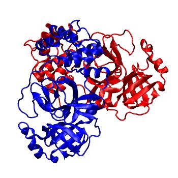 Structure preview of Folding@home molecular dynamics simulations of Diamond Light Source / XChem X-ray structures of small molecule inhibitors of the SARS-CoV-2 main protease from the COVID Moonshot; project 13437, run 8