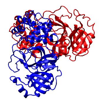 Structure preview of Folding@home molecular dynamics simulations of Diamond Light Source / XChem X-ray structures of small molecule inhibitors of the SARS-CoV-2 main protease from the COVID Moonshot; project 13437, run 90