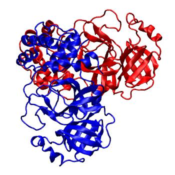 Structure preview of Folding@home molecular dynamics simulations of Diamond Light Source / XChem X-ray structures of small molecule inhibitors of the SARS-CoV-2 main protease from the COVID Moonshot; project 13437, run 92