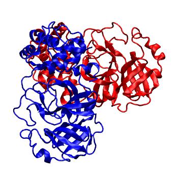 Structure preview of Folding@home molecular dynamics simulations of Diamond Light Source / XChem X-ray structures of small molecule inhibitors of the SARS-CoV-2 main protease from the COVID Moonshot; project 13437, run 94