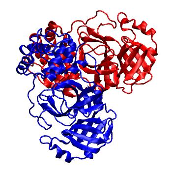 Structure preview of Folding@home molecular dynamics simulations of Diamond Light Source / XChem X-ray structures of small molecule inhibitors of the SARS-CoV-2 main protease from the COVID Moonshot; project 13437, run 95