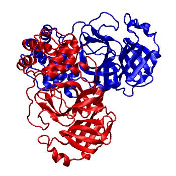 Structure preview of Folding@home molecular dynamics simulations of Diamond Light Source / XChem X-ray structures of small molecule inhibitors of the SARS-CoV-2 main protease from the COVID Moonshot; project 13437, run 97