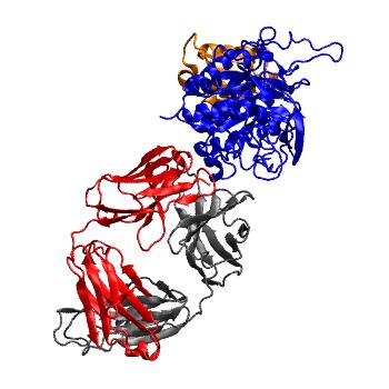 Structure preview of Dynarepo 4LVN