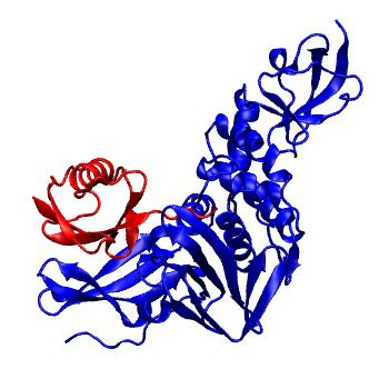 Structure preview of Dynarepo 4M0W