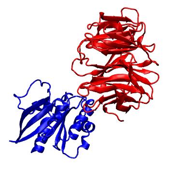 Structure preview of Dynarepo 4V0O
