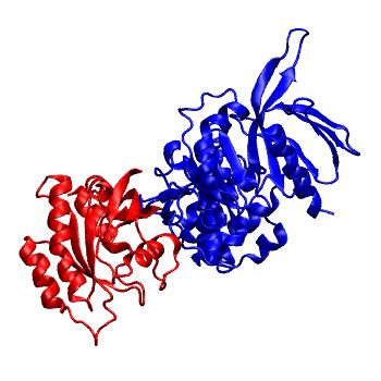 Structure preview of Dynarepo 4HDO