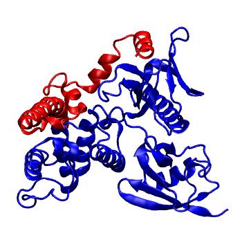 Structure preview of Dynarepo 4ZRJ