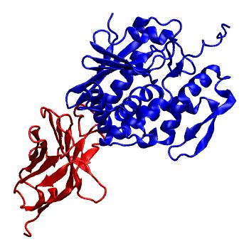 Structure preview of Dynarepo 5J57