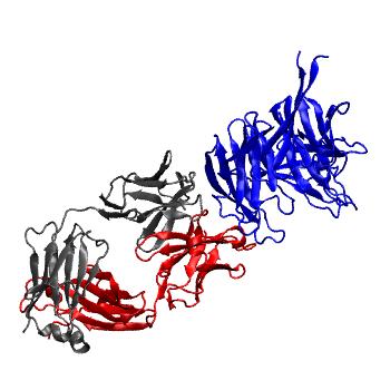 Structure preview of Dynarepo 5TIH