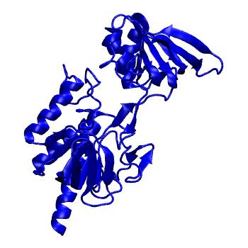 Structure preview of Dynarepo 1F6M