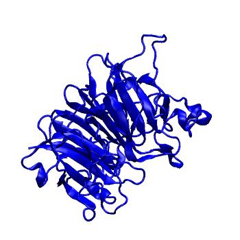 Structure preview of Dynarepo 1I2M